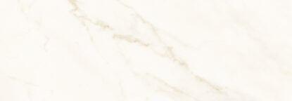 ragno imperiale r74g.jpg