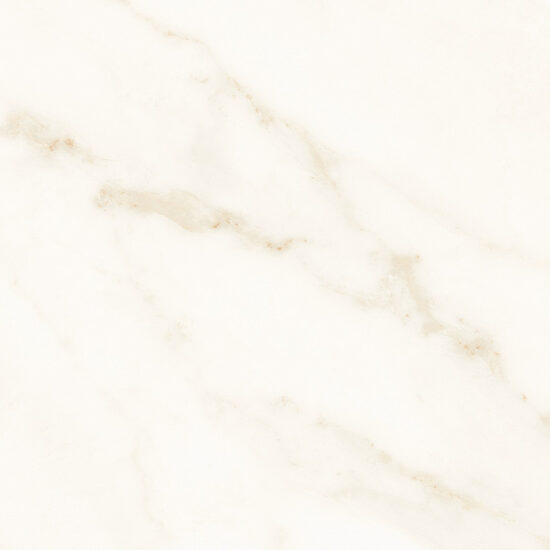 ragno imperiale r74g.jpg