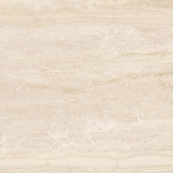 ragno imperiale r74h.jpg