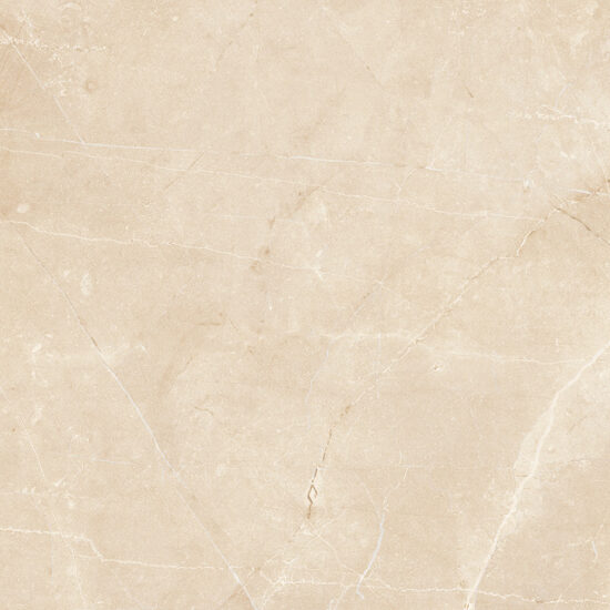 ragno imperiale r74k.jpg