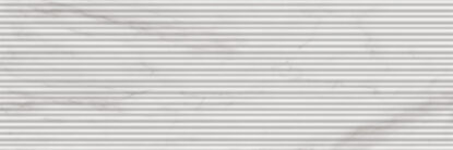 ragno imperiale r74m.jpg