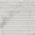 ragno imperiale r74n.jpg