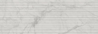 ragno imperiale r74n.jpg