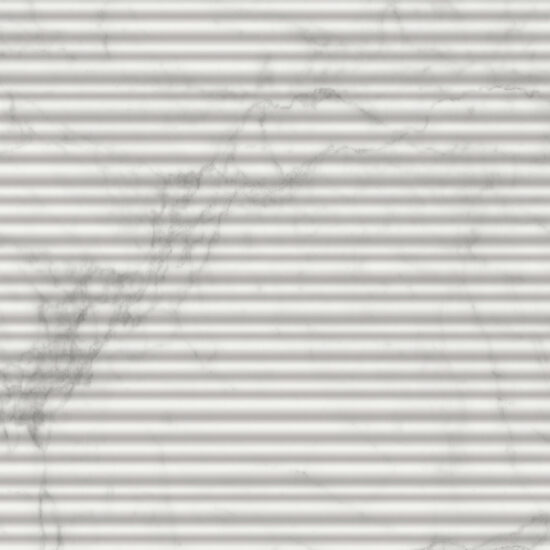 ragno imperiale r74n.jpg