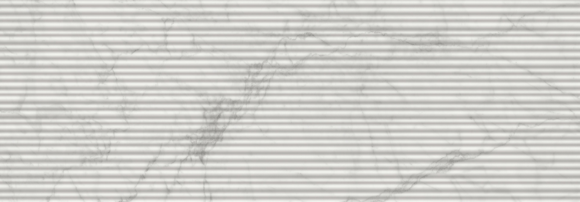 ragno imperiale r74n.jpg