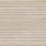 ragno imperiale r74r.jpg