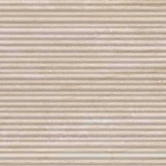 ragno imperiale r74r.jpg