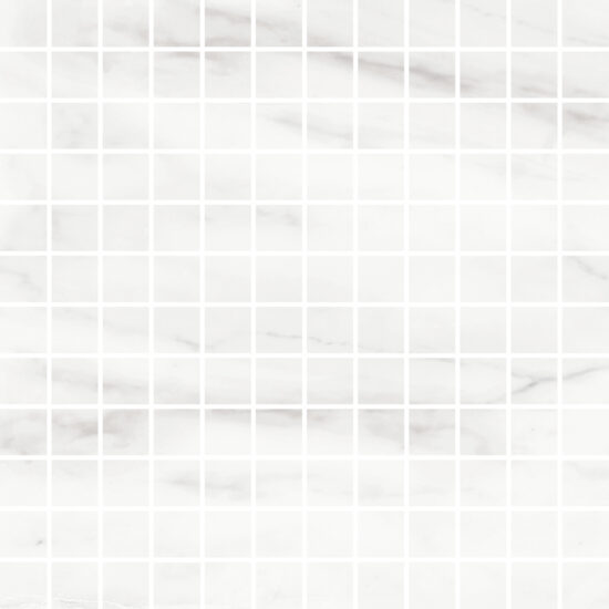 ragno imperiale r75k.jpg