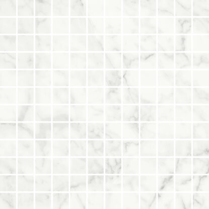 ragno imperiale r75l.jpg