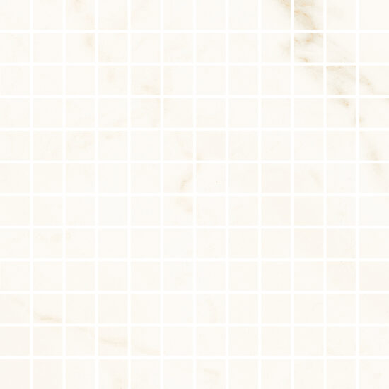 ragno imperiale r75n.jpg