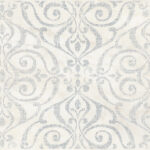 ragno imperiale r75v.jpg