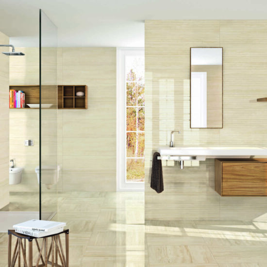 ragno imperiale 006.jpg