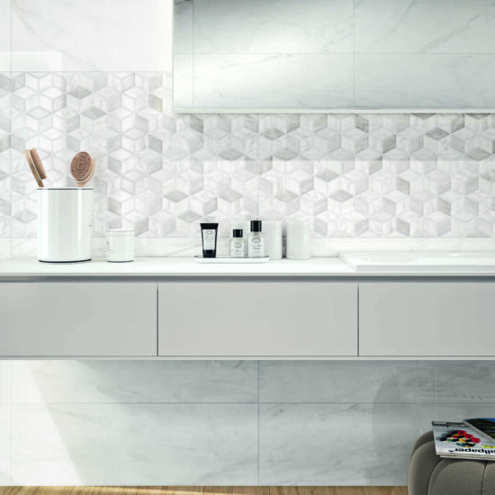 ragno imperiale 011.jpg