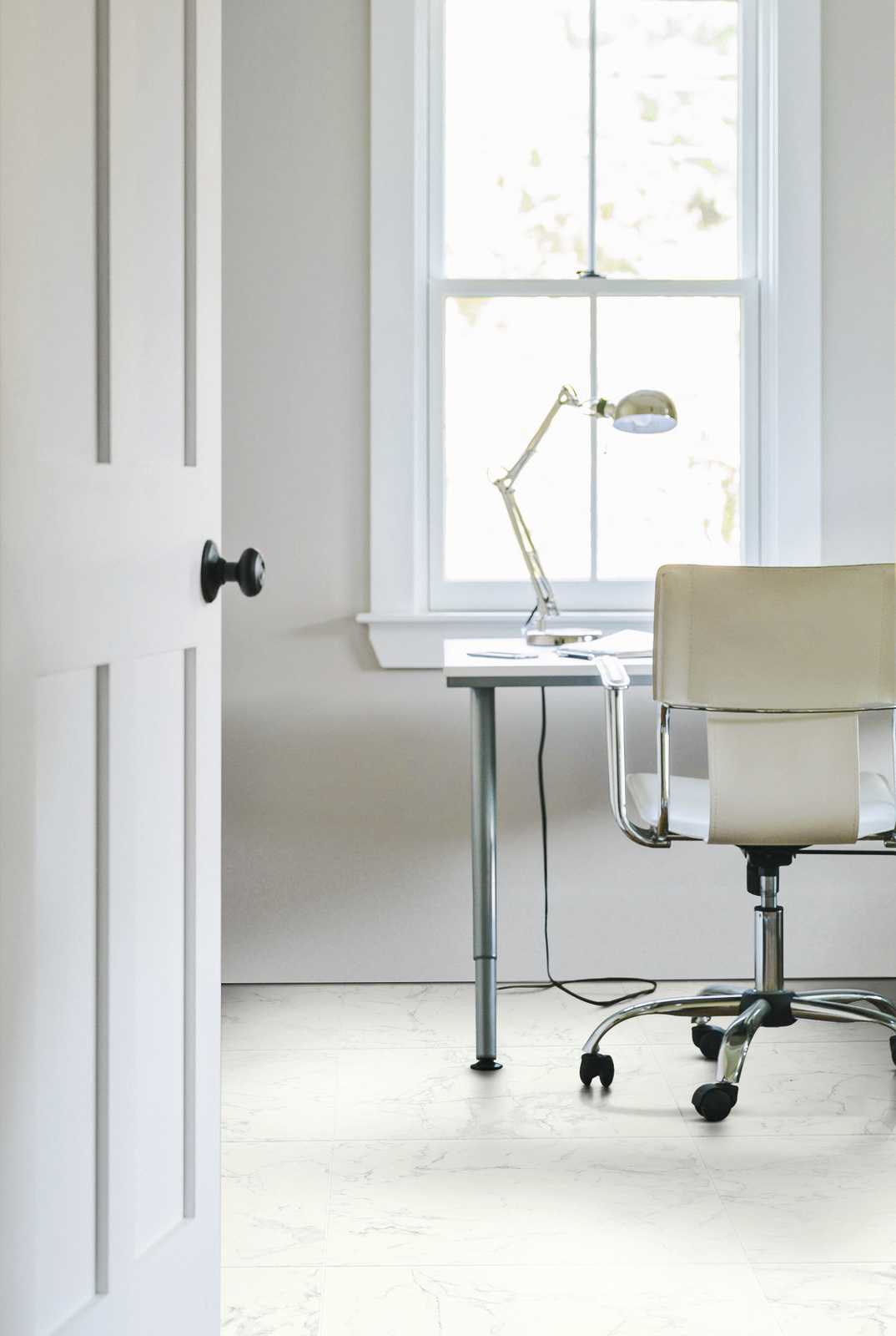 ragno imperiale 014.jpg