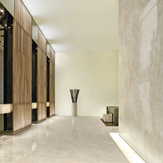 ragno imperiale 016.jpg