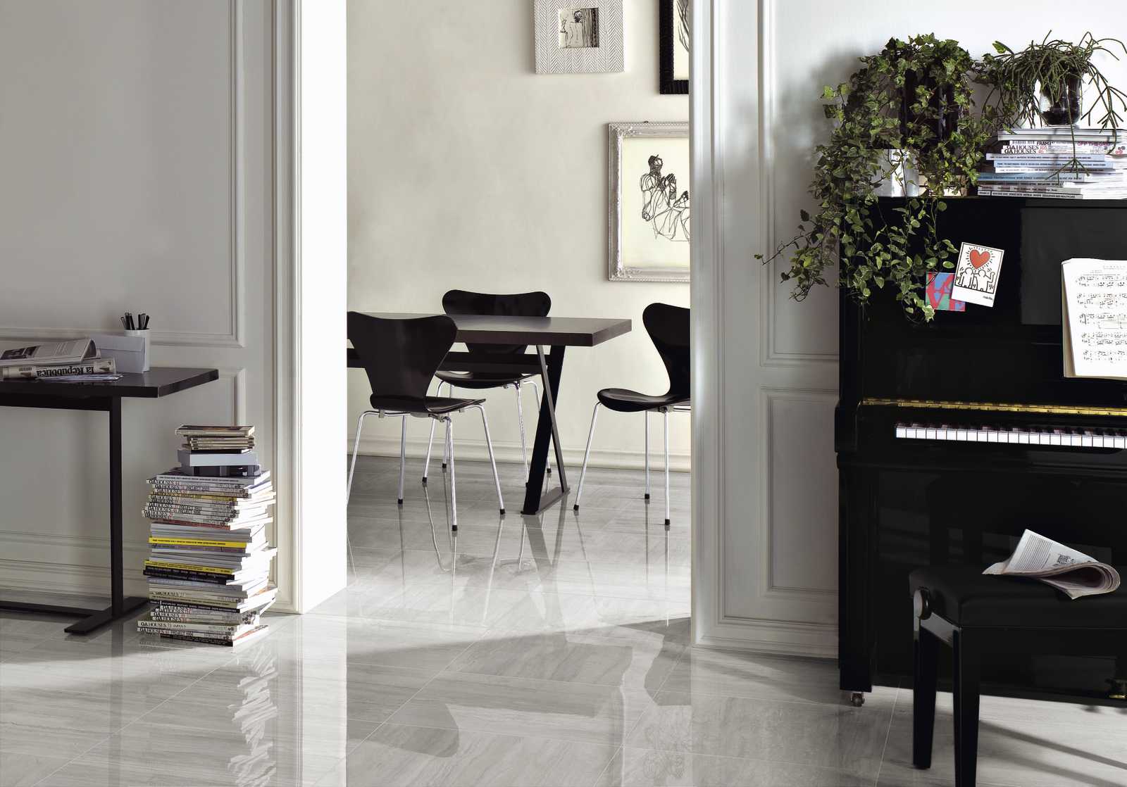 ragno imperiale 017.jpg