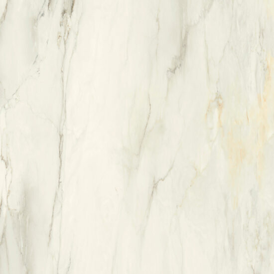 ragno incanto r8nr.jpg