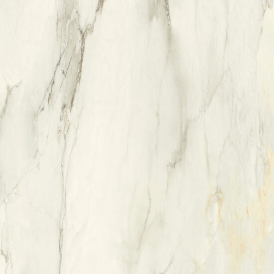 ragno incanto r8nz.jpg