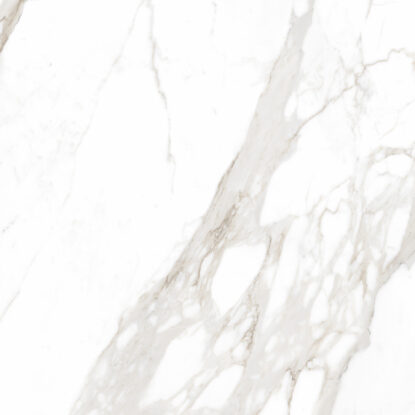 ragno incanto r8pg.jpg