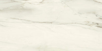 ragno incanto r8rx.jpg