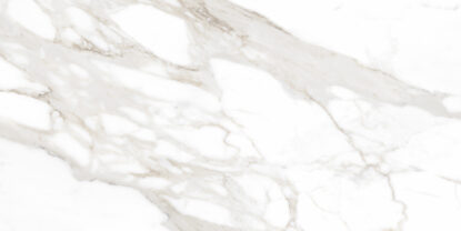 ragno incanto r8sf.jpg