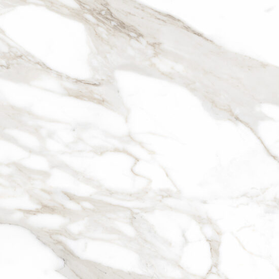 ragno incanto r8sf.jpg