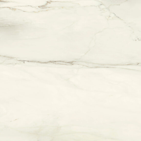 ragno incanto r8sh.jpg