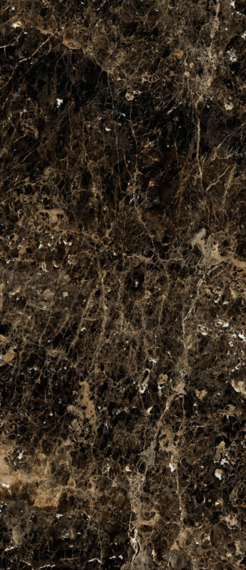 ragno incanto r8t0.jpg