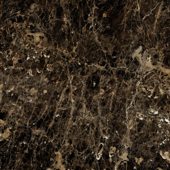 ragno incanto r8t0.jpg