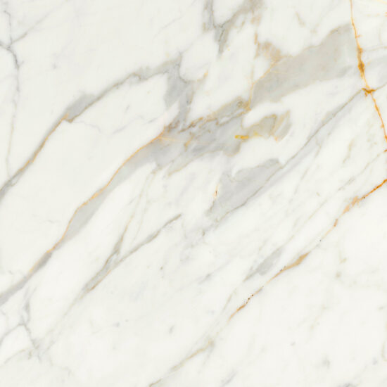 ragno incanto r8zl.jpg