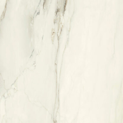 ragno incanto r8zm.jpg