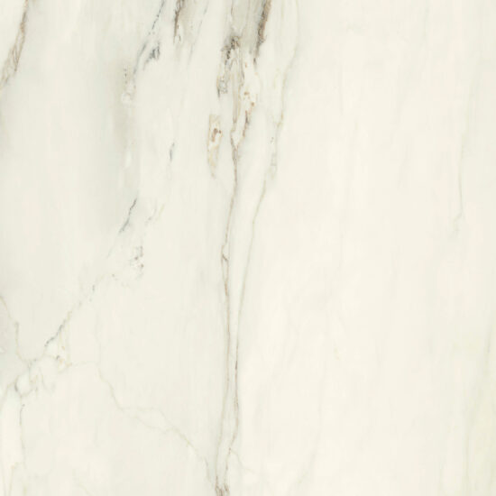 ragno incanto r8zm.jpg