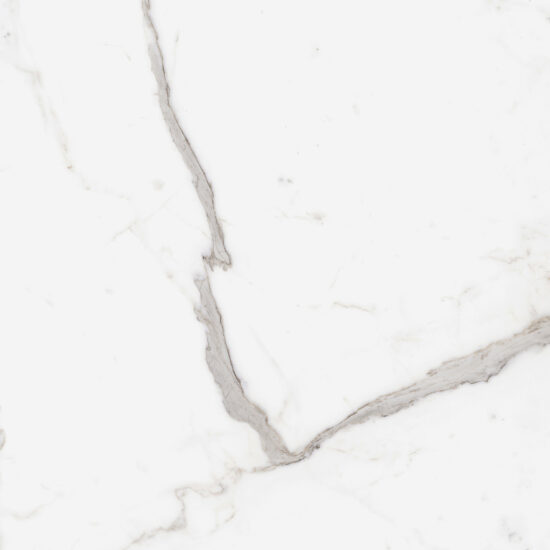 ragno incanto r8zu.jpg