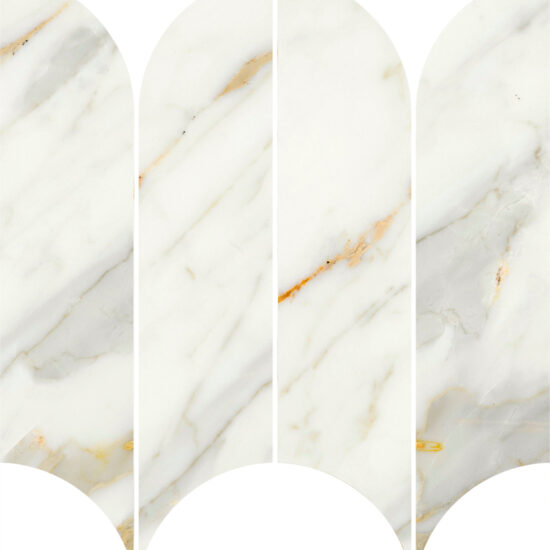 ragno incanto r9ca.jpg