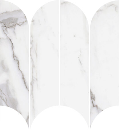 ragno incanto r9cf.jpg