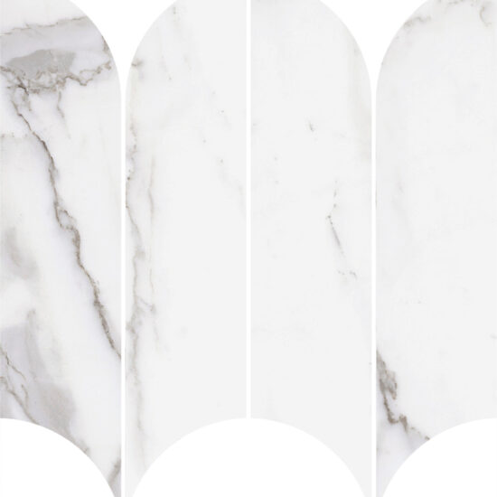 ragno incanto r9cf.jpg