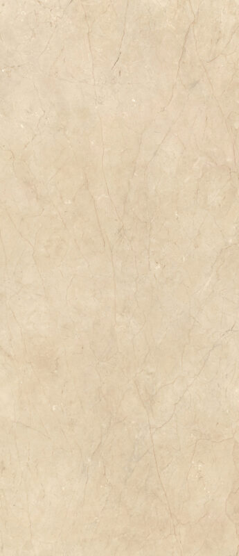 ragno incanto raaa.jpg