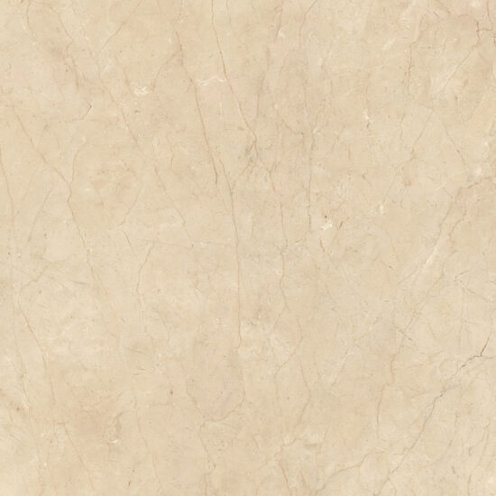 ragno incanto raae.jpg