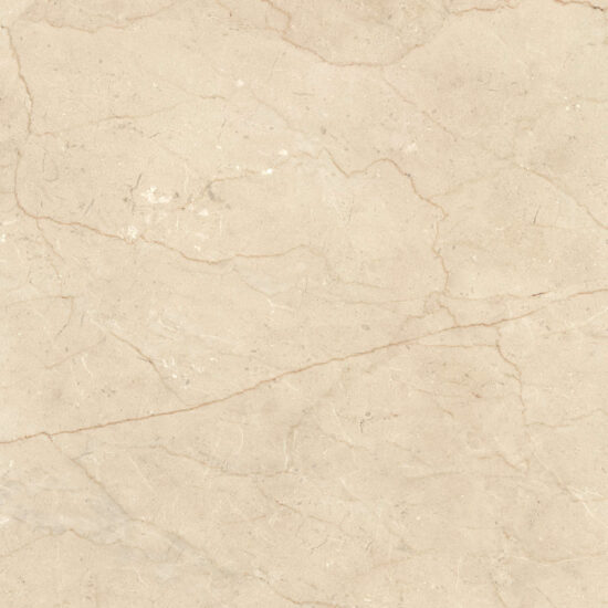 ragno incanto rach.jpg