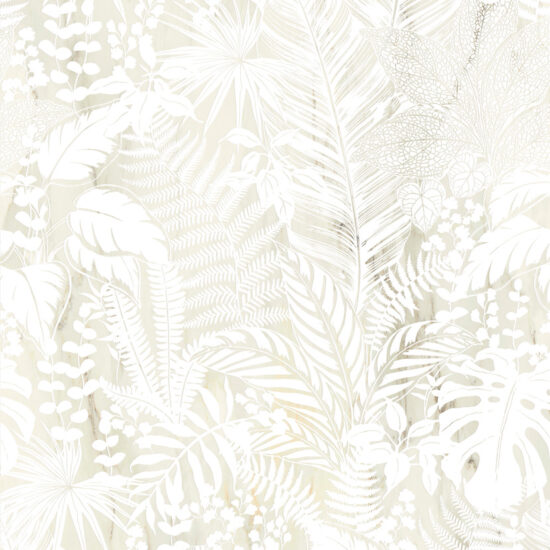 ragno incanto rc1d.jpg