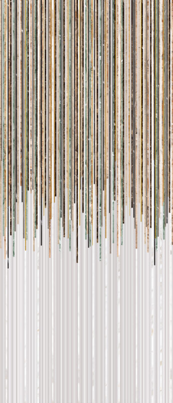 ragno incanto rc1h.jpg