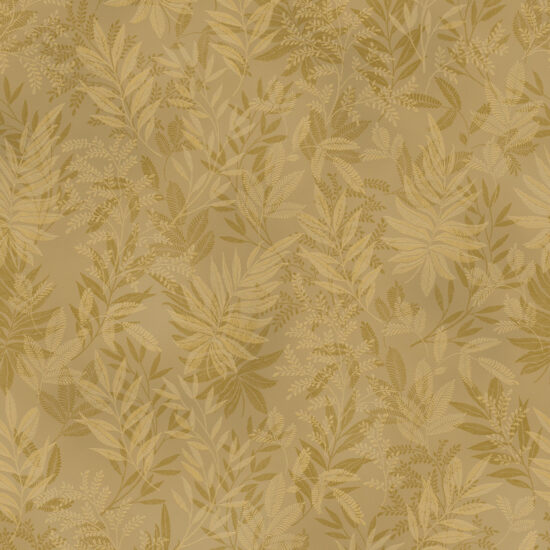 ragno incanto rcl8.jpg