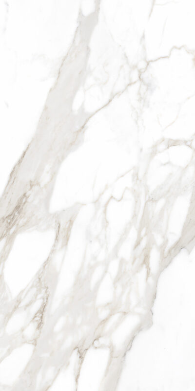 ragno incanto rd9x.jpg