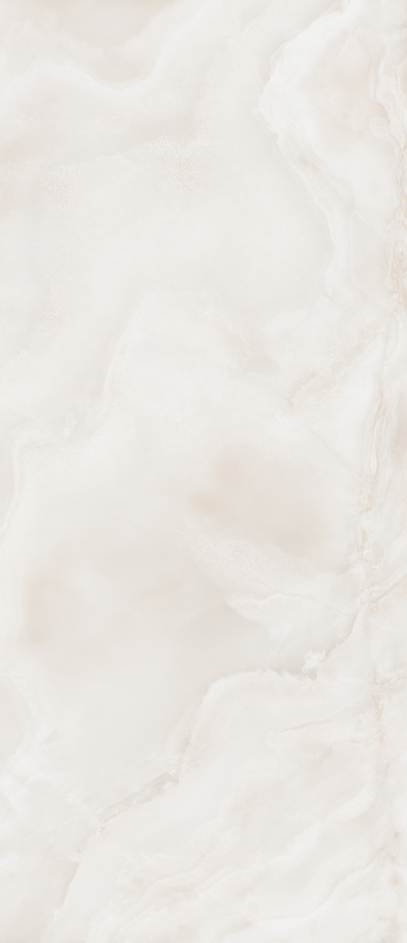 ragno incanto rday.jpg