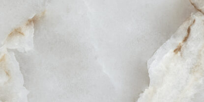 ragno incanto rdf1.jpg