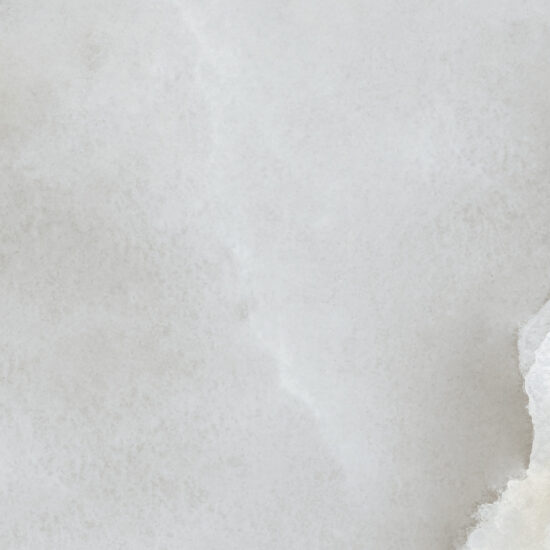 ragno incanto rdf1.jpg