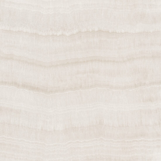 ragno incanto rdf2.jpg