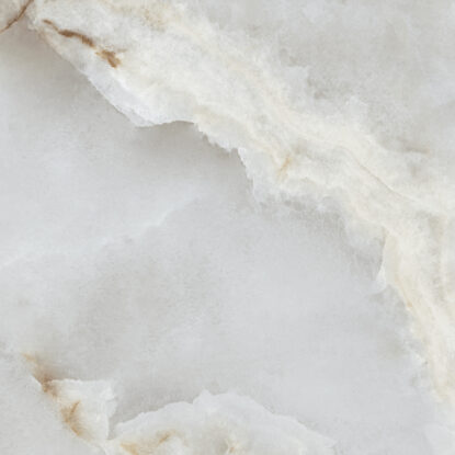 ragno incanto rdf9.jpg