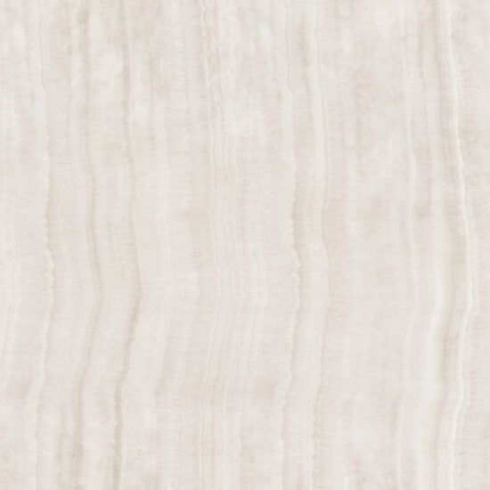 ragno incanto rdfd.jpg