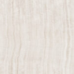 ragno incanto rdfk.jpg